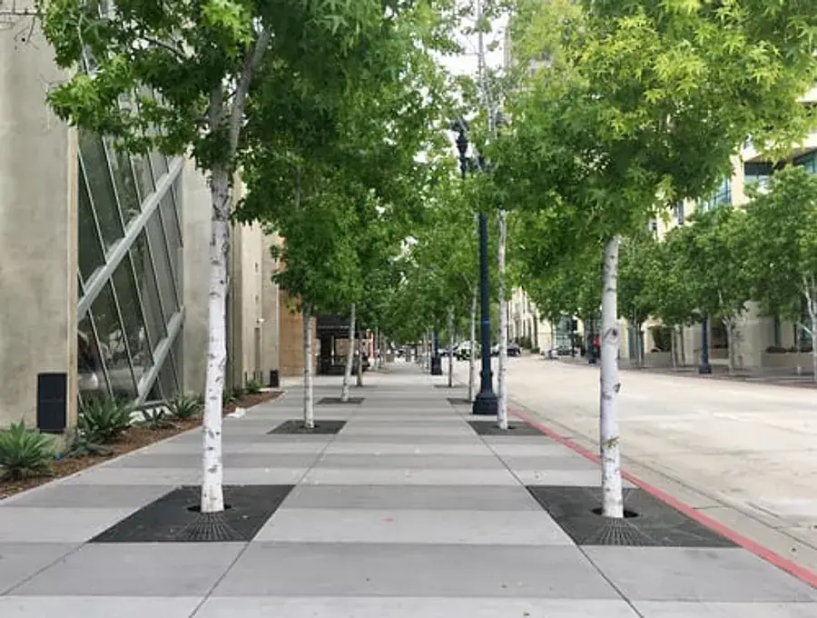 Wide finished concrete sidewalk lined with street trees along a commercial city block